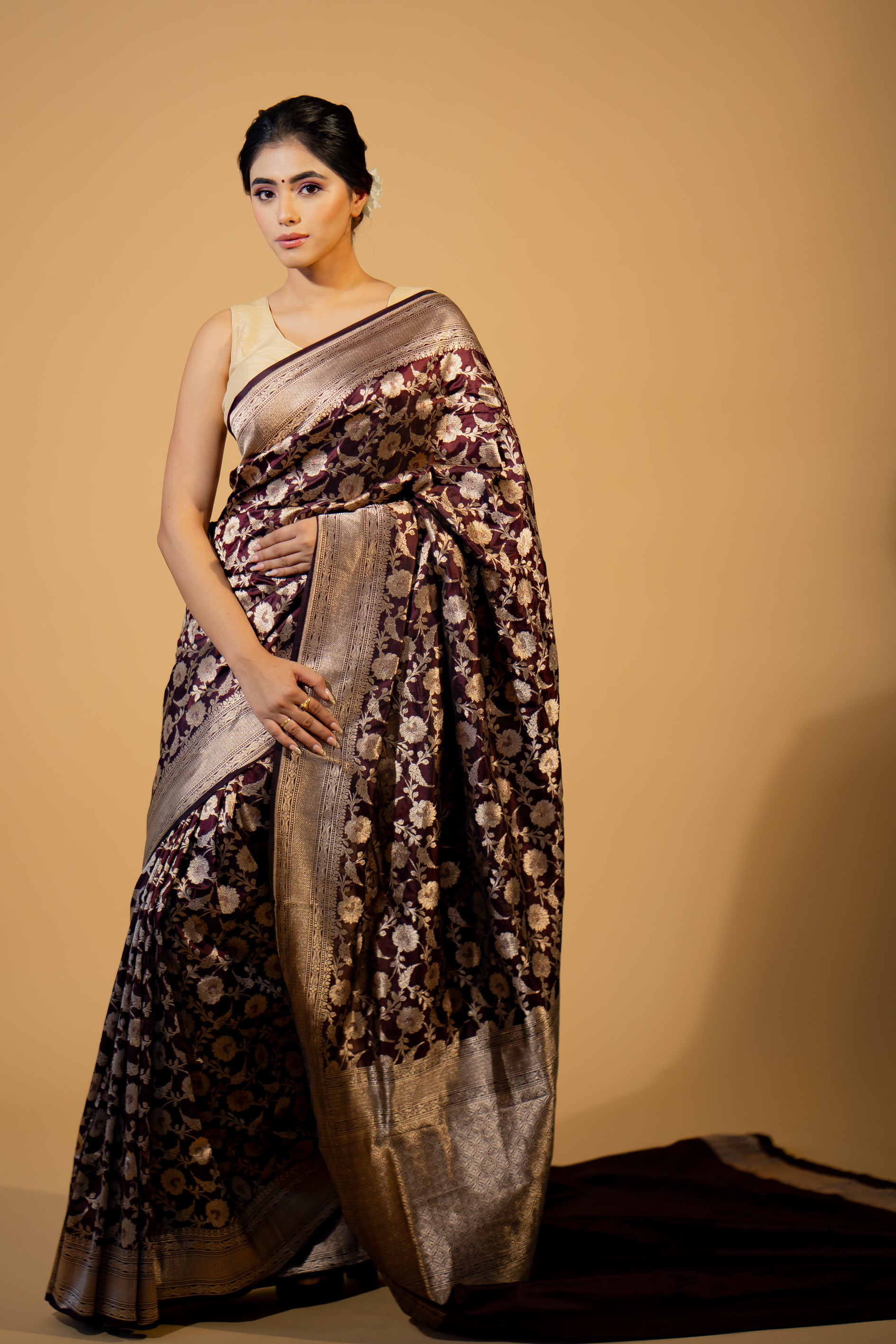 Brown Katan Silk Jaal Saree