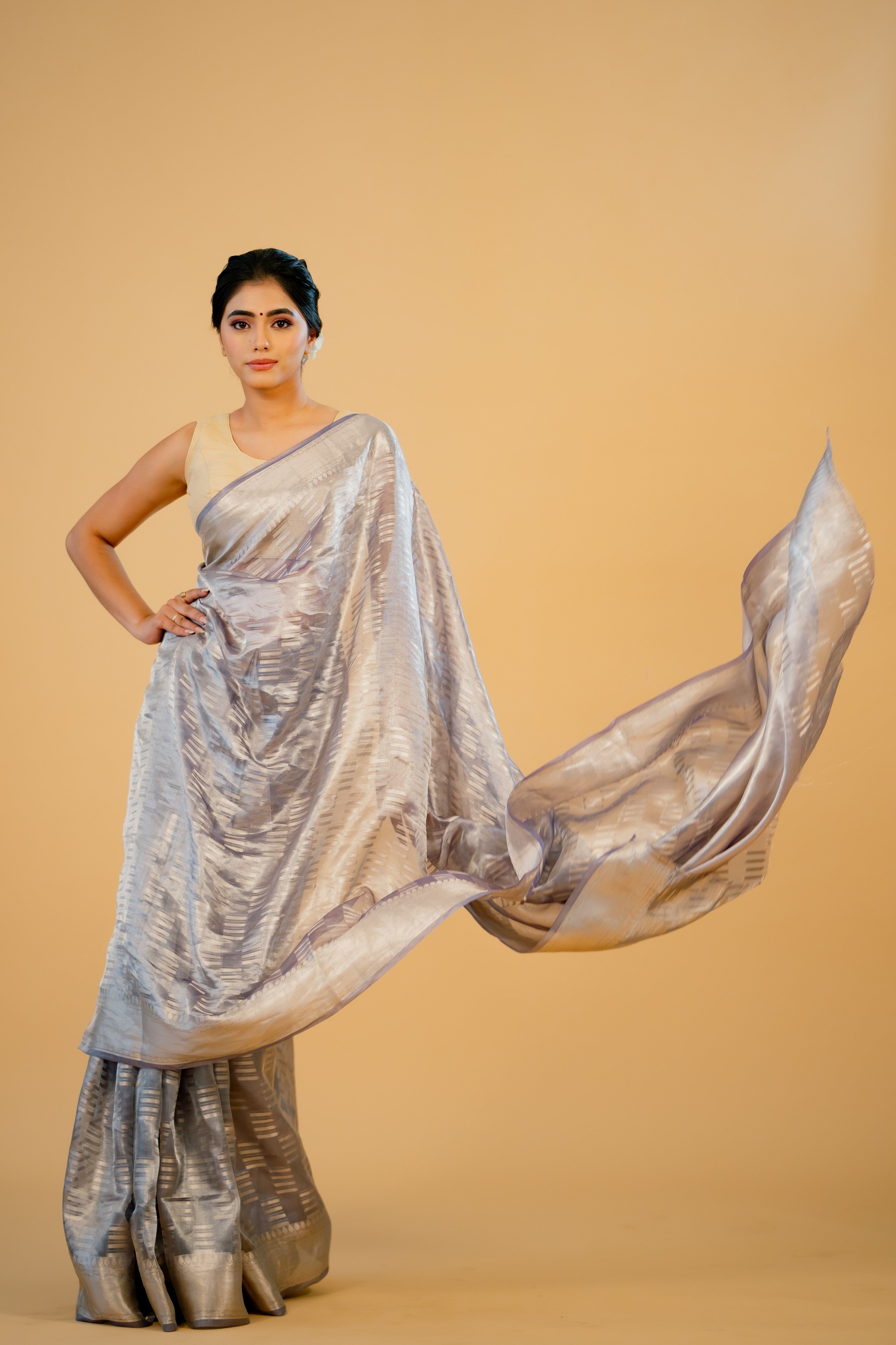 Lavender Pure Tissue Banarasi Handloom Saree