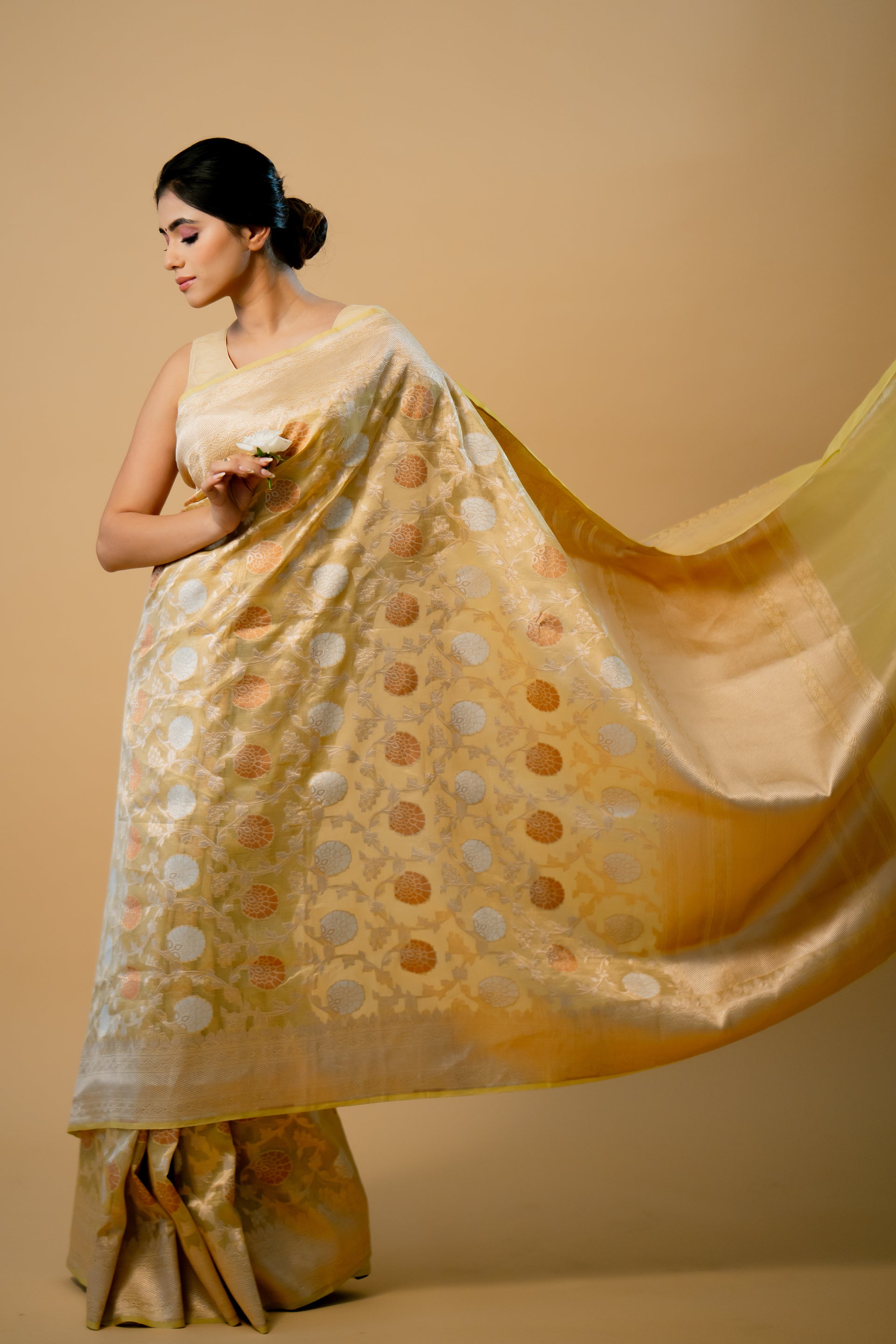 Yellow Jaal Pure Tissue Banarasi Handloom Saree