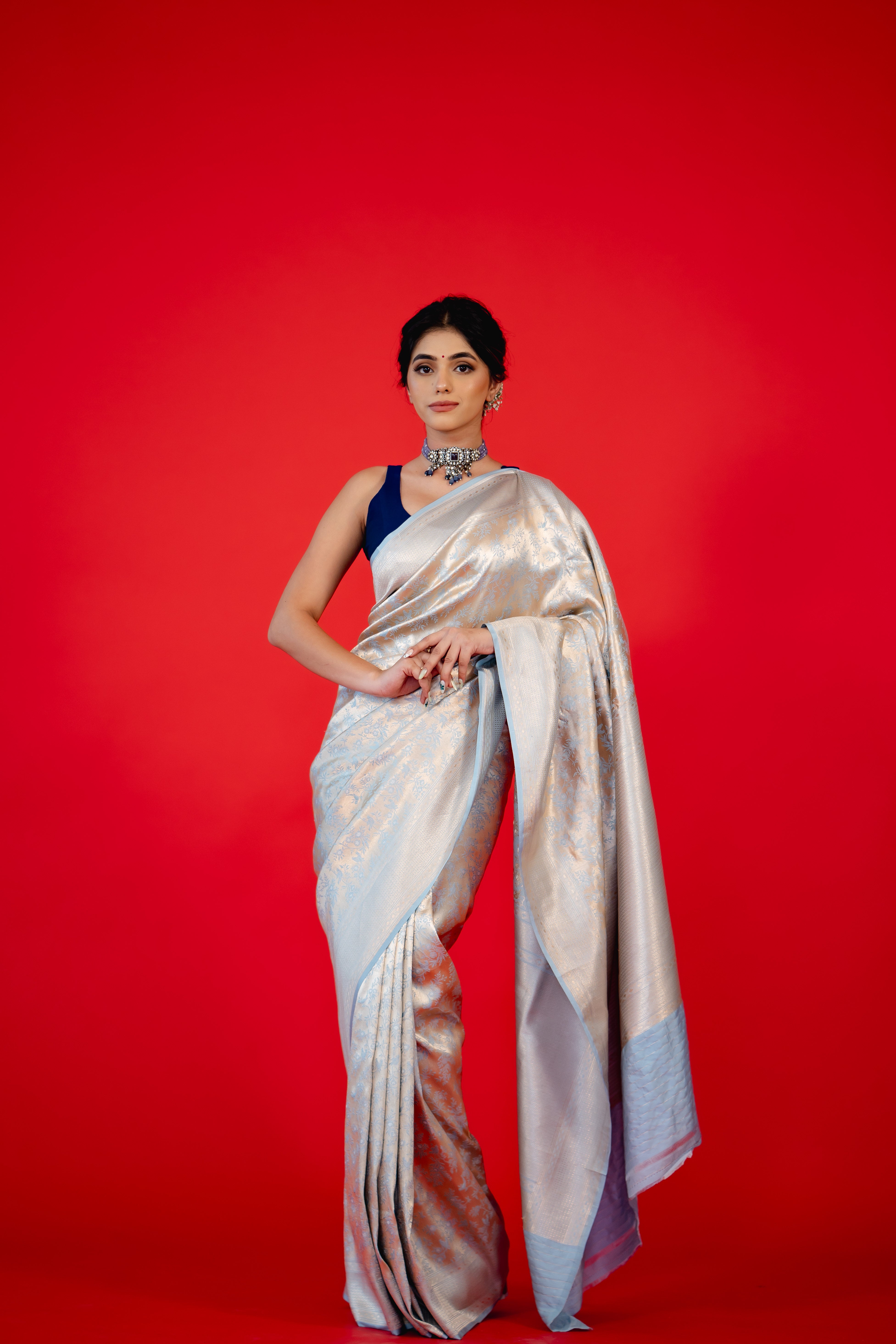Sky Blue Chidiya Jaal Brocade Katan Silk Banarasi Handloom Saree