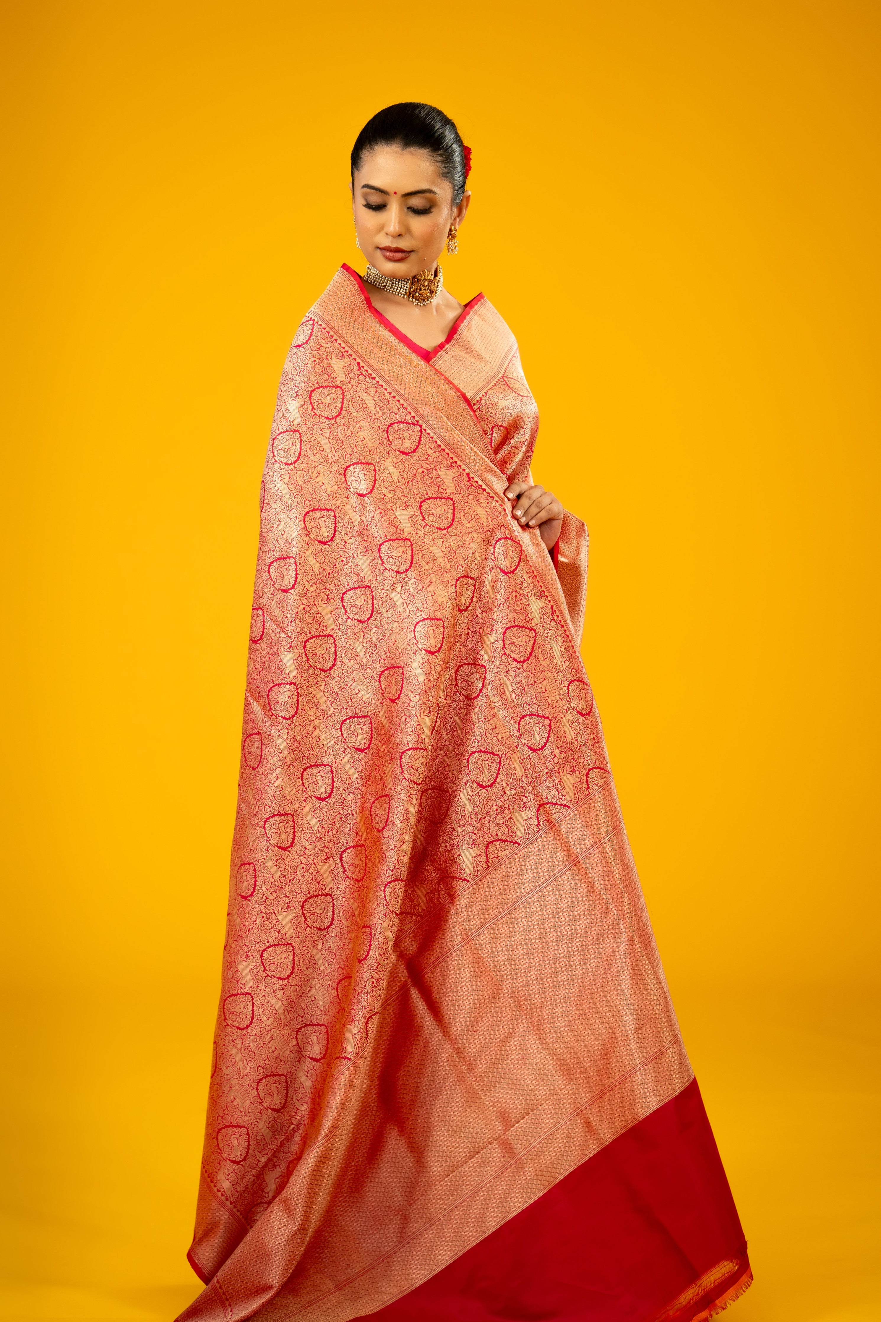 Rani Shikargah Jaal Katan Silk Banarasi Handloom Saree