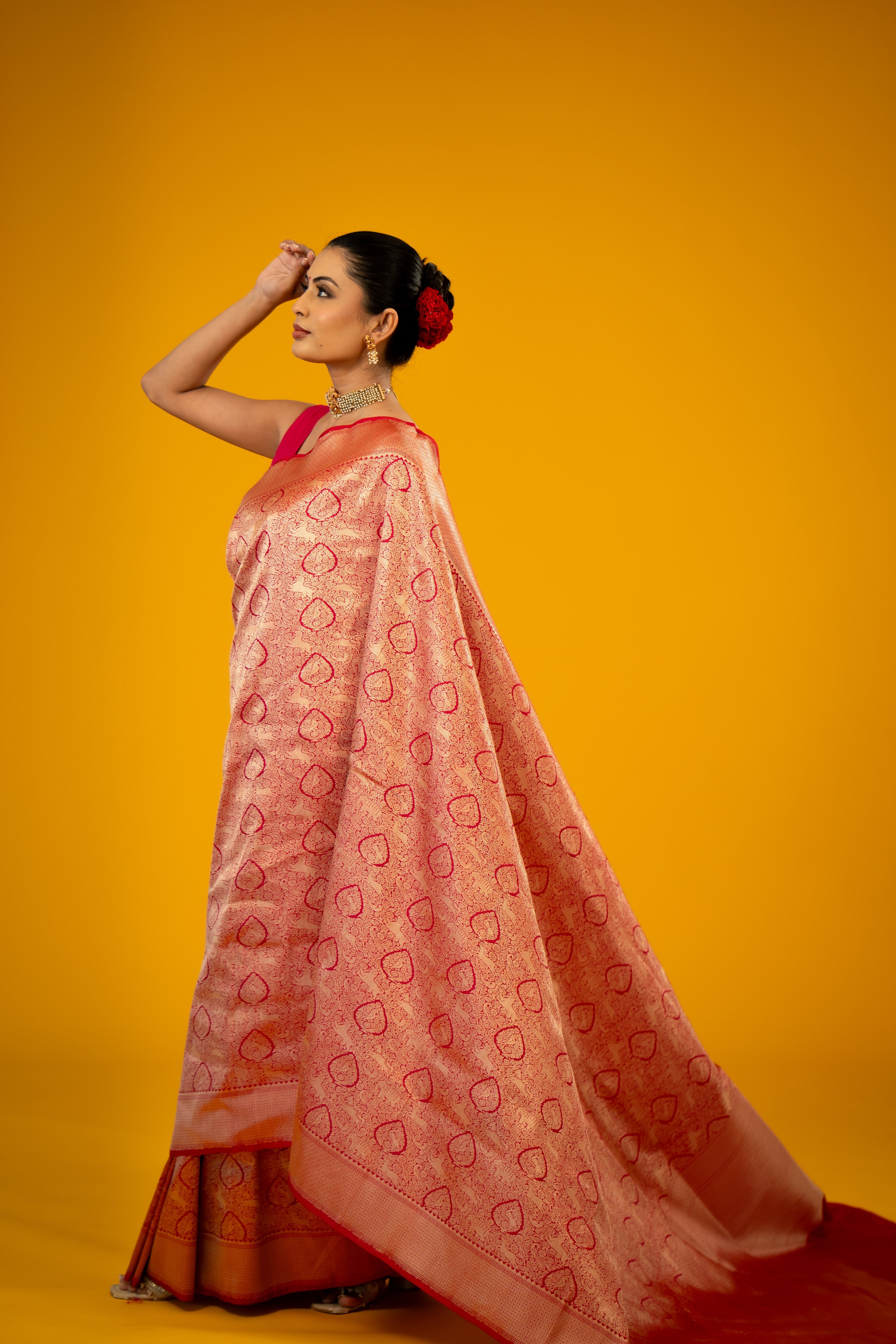 Rani Shikargah Jaal Katan Silk Banarasi Handloom Saree