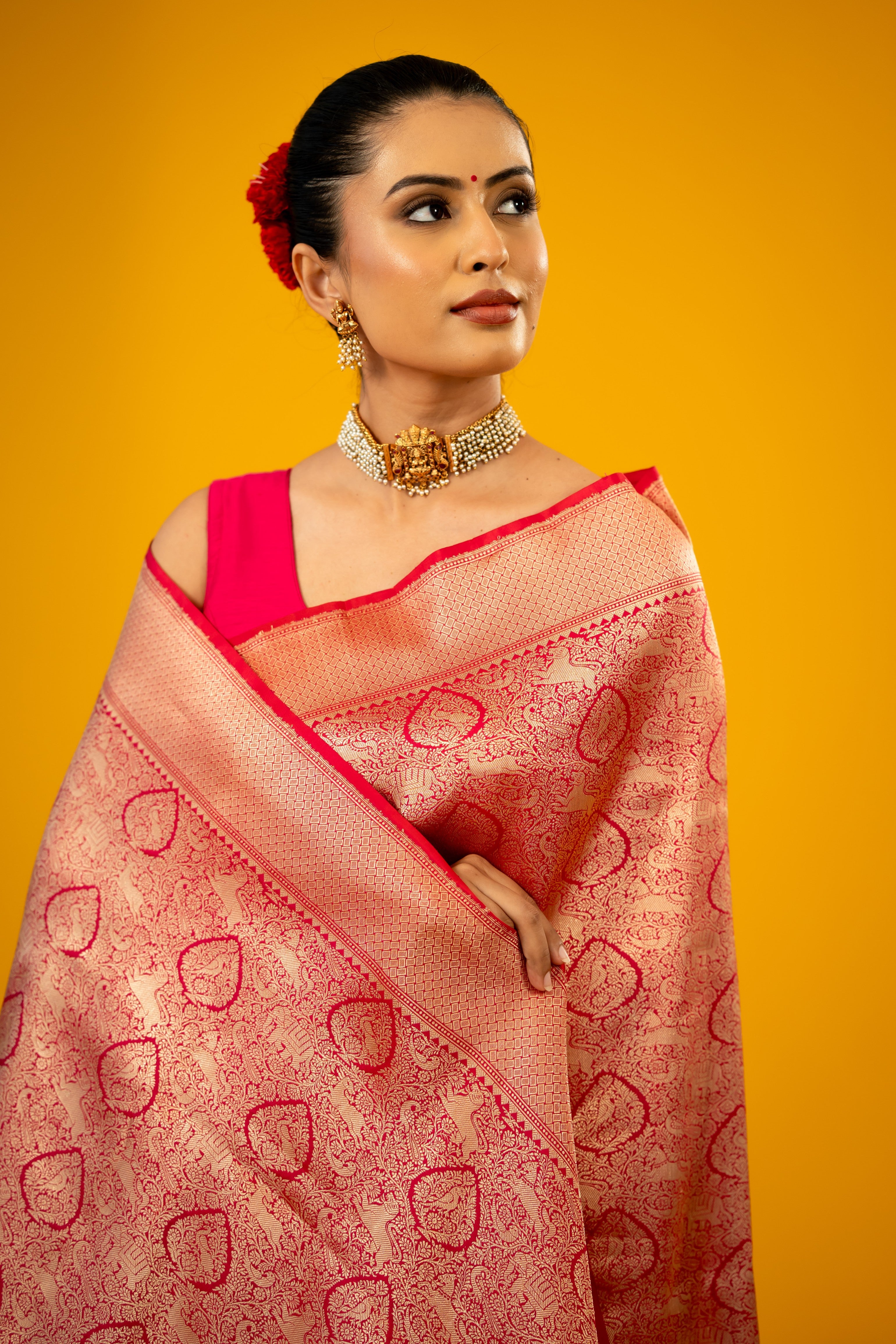 Rani Shikargah Jaal Katan Silk Banarasi Handloom Saree