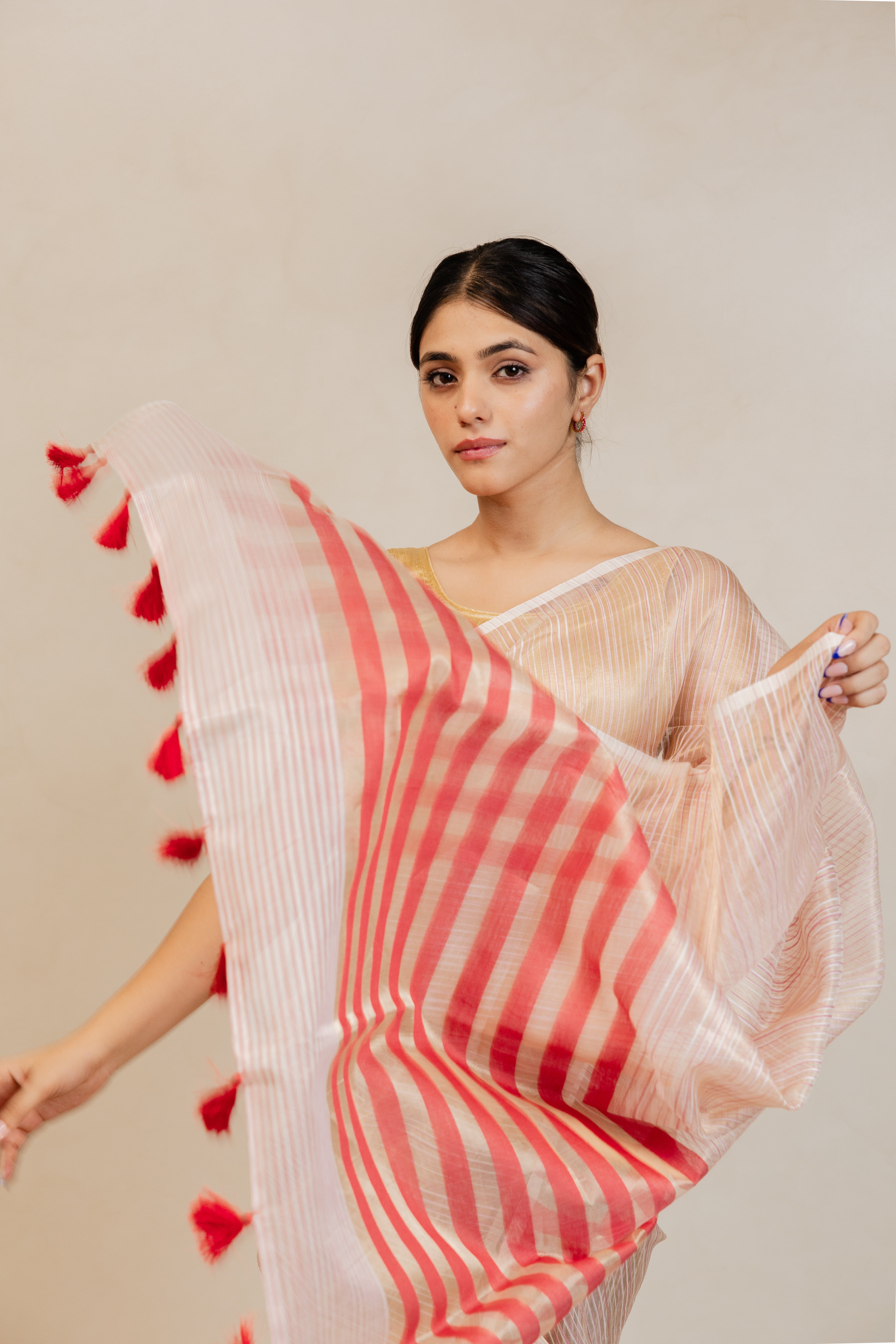 Red Gold Stripe Tissue Silk Handloom Banarasi Saree