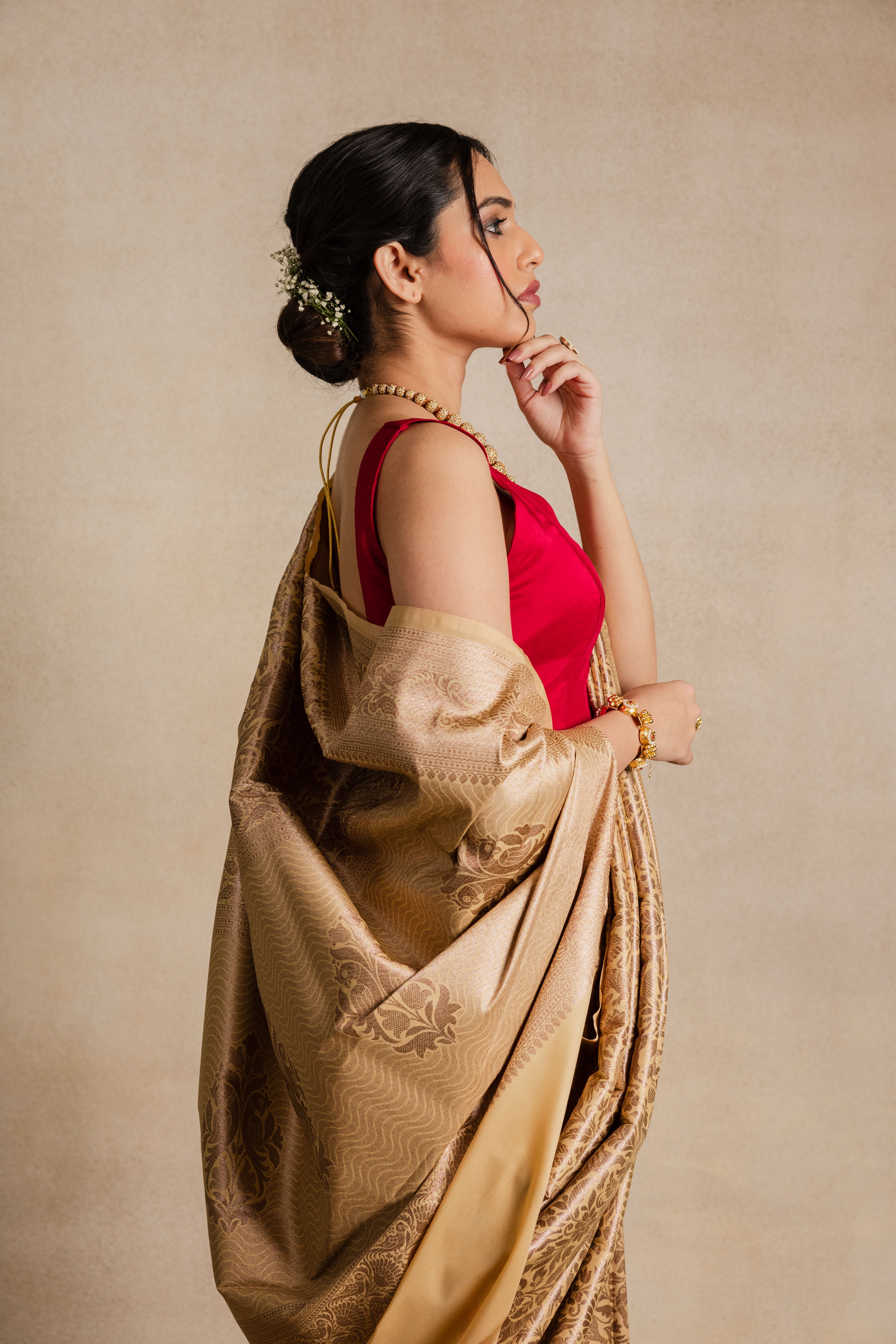 Beige Shikargah  Silk Jaal Saree