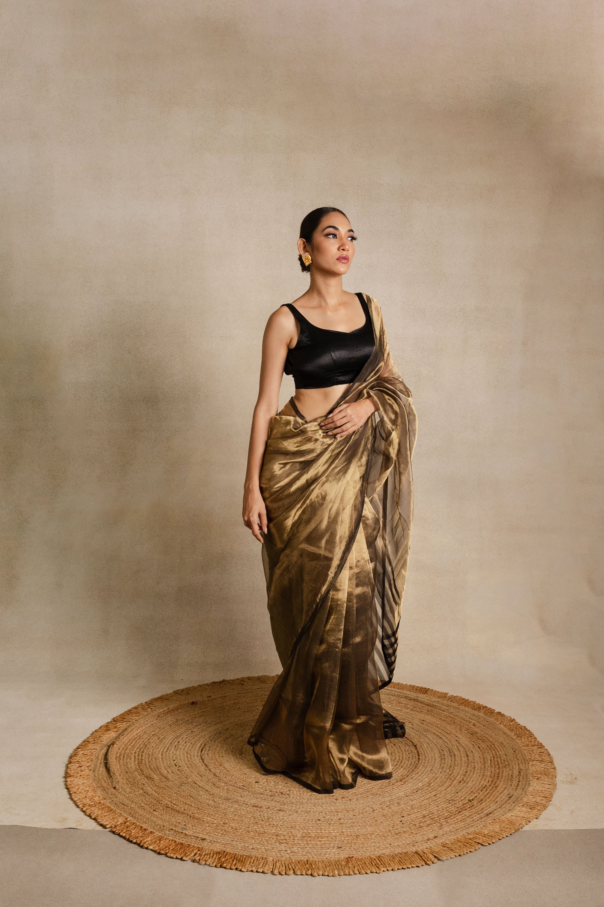 Gold Black Stripe Tissue Silk Saree